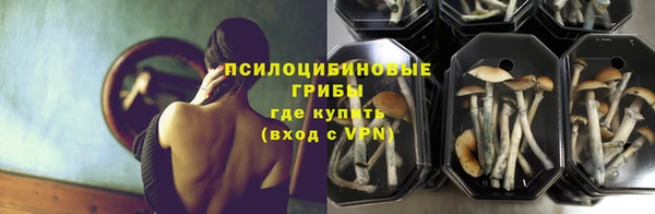 гашик Балабаново
