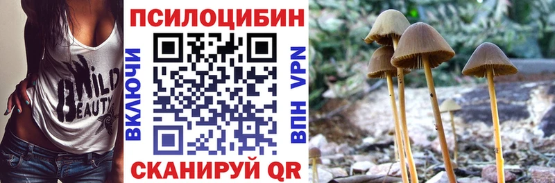 Псилоцибиновые грибы мухоморы купить наркоту нарко площадка официальный сайт Тихвин blacksprut вход